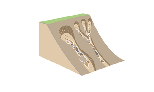 flows-landslides-infographic.png