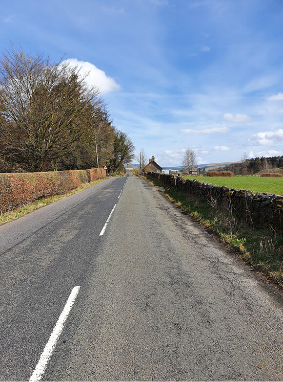 cracking-5-(1).jpg Moderate alligator cracking in the wheelpath